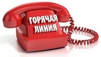 Горячая линия в ТО Роспотребнадзора